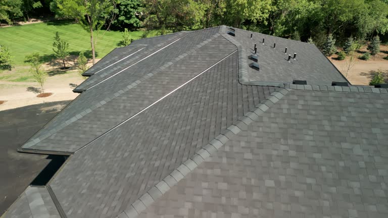 Best Chimney Flashing Repair  in Osceola, WI