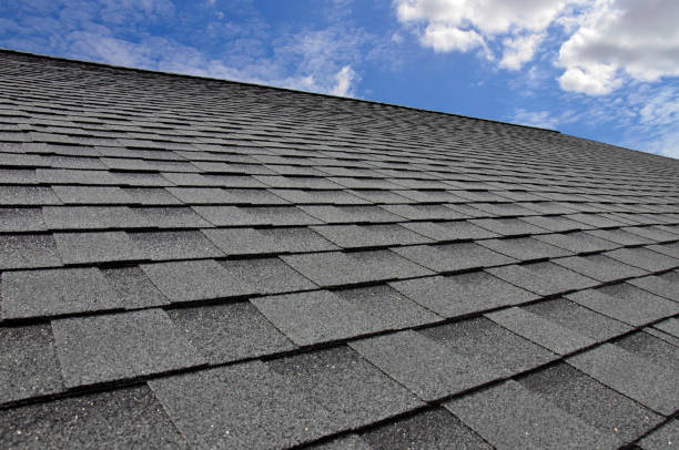 Best Roof Maintenance and Cleaning  in Osceola, WI