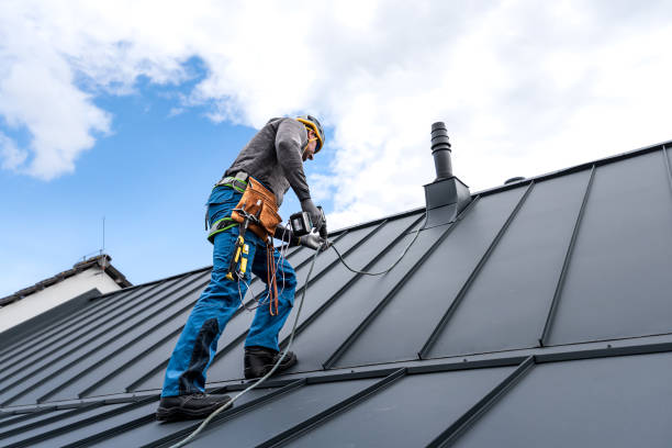 Best Roof Leak Repair  in Osceola, WI